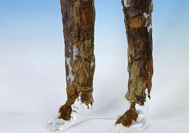 The two separate leggings, which the Iceman was still wearing when he was discovered, are made of several pieces of domestic goat hide carefully cross-stitched together with animal sinew.